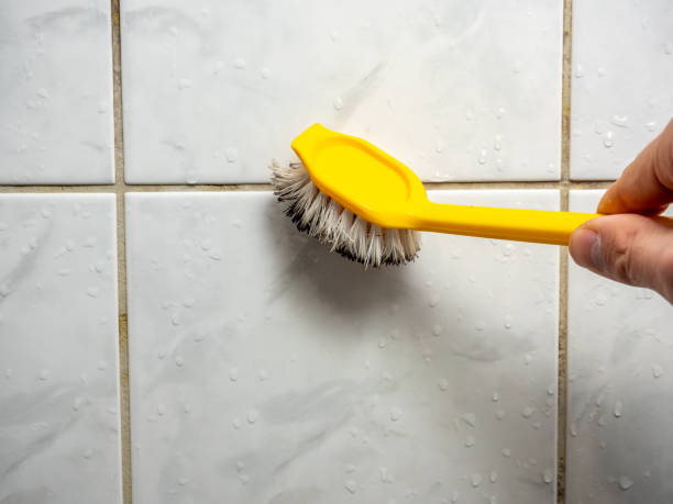 Best Commercial Mold Removal  in Cherry Hill Mall, NJ