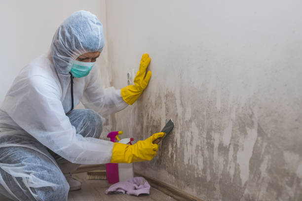 Best Crawl Space Mold Removal  in Cherry Hill Mall, NJ